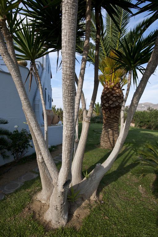 Ammos Naxos Exclusive Apartments & Studios Naxos City Exterior foto