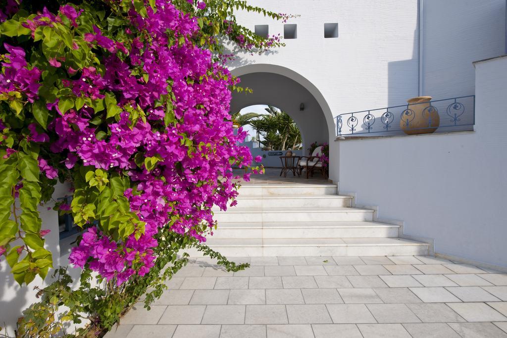 Ammos Naxos Exclusive Apartments & Studios Naxos City Exterior foto